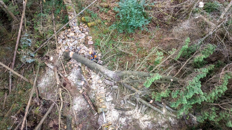 Coed wedi disgyn a difrod i wal yn Eryri ar ôl Storm Darragh yn Eryri
